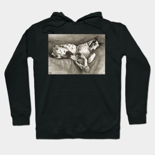 Sleeping Dog Hoodie